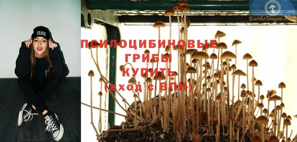 молекула духа Аркадак