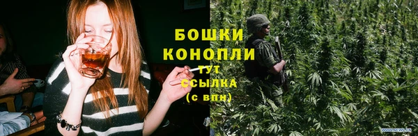 индика Зеленокумск