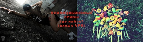 каннабис Алзамай