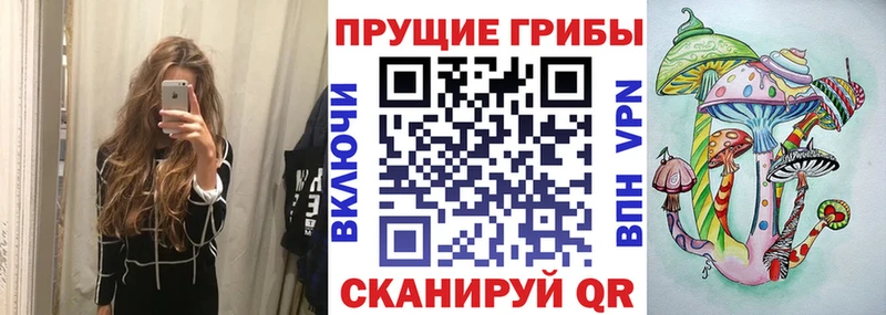 Псилоцибиновые грибы ЛСД  Куйбышев 