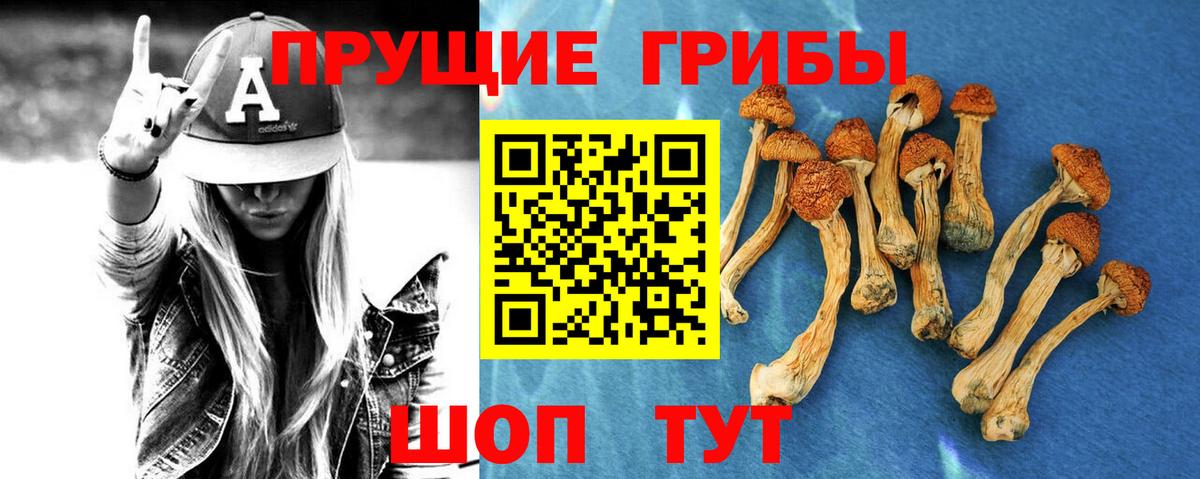 Куйбышев  Галлюциногенные грибы Cubensis  Галлюциногенные грибы ЛСД  Вход с VPN 